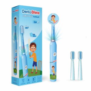 Dento Shine Brush 60