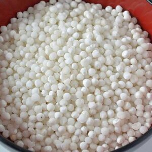 SABUDANA BIG 100 GM